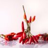 Chili sin carne – vegan recept