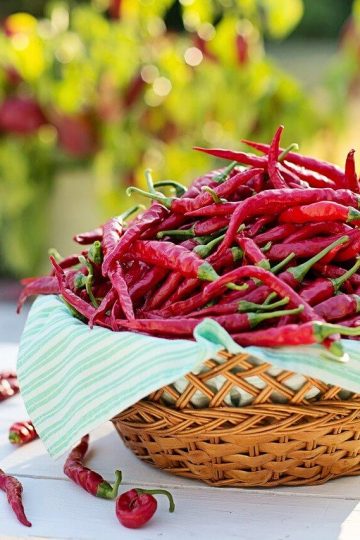 Vegan Chili Sin Carne