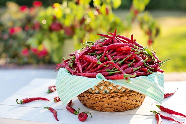 Vegan Chili Sin Carne