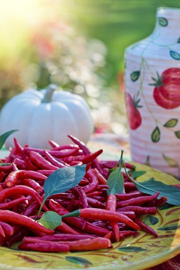 Recept Chili sin carne met vegagehakt